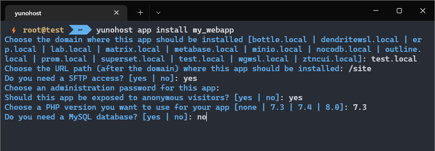 Pre-installation form of the Custom Webapp in CLI